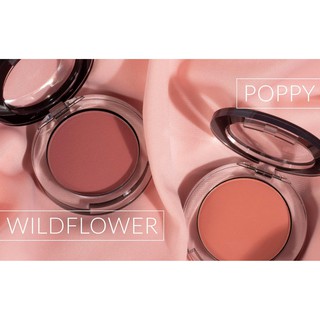 Phấn má hồng STUDIOMAKEUP SOFT BLEND BLUSH SBB