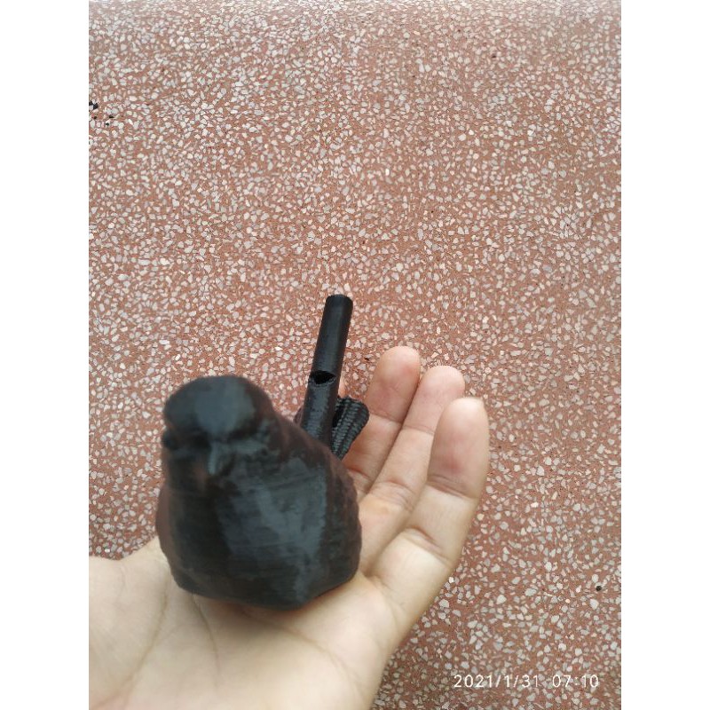 Sáo nước hình chim