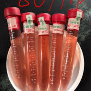 Thuốc kích mầm Keiki duy pro hàng chính hãng chuyên kích mầm cho lan , hoa hồng và các loại cây 60k / tip