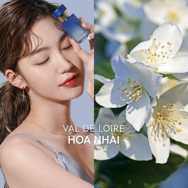 Nước Hoa Hàn Quốc De Memoria #02 Val De Loire