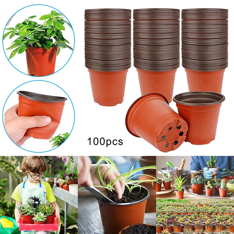 Set 100 Chậu Nhựa Trồng Cây