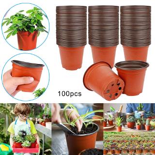 Set 100 chậu nhựa trồng cây
