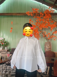 ÁO SƠMI TRẮNG TAY BÈO [ ẢNH THẬT ]