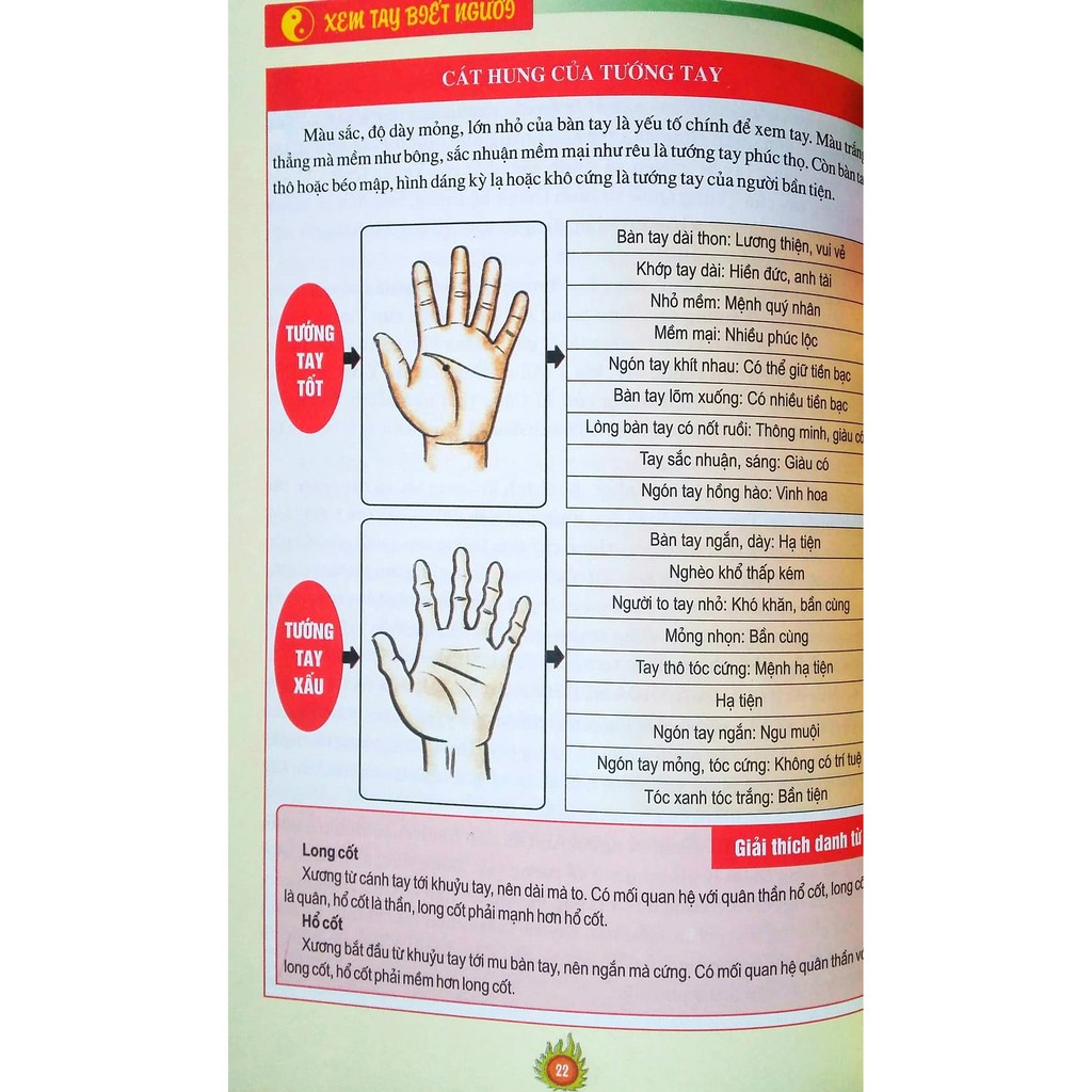 Sách - Cẩm Nang Nhân Tướng Học - Xem Tay Biết Người ( Thiệu Vĩ Hoa ) | BigBuy360 - bigbuy360.vn