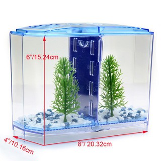 Bể nuôi cá betta mini 2/3 ngăn có thể tháo lắp
