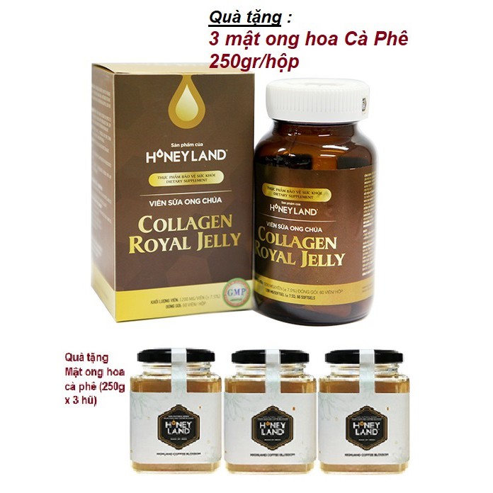 COMBO 3 hộp viên sữa ong chúa Collagen 60v/hộp + 3 hũ mật ong Cà Phê 250g