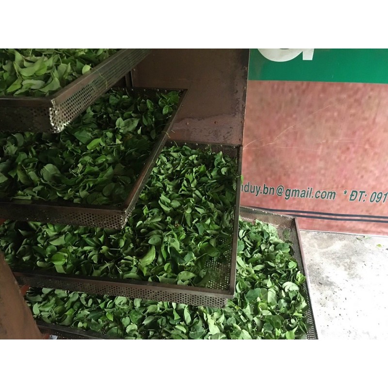 lá giang thiên nhiên sấy khô túi giấy 50g - thơm lừng | BigBuy360 - bigbuy360.vn