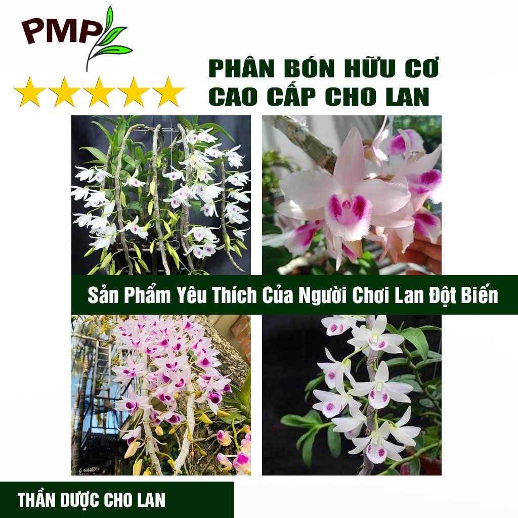 Combo 2 Chai Dịch chuối 1 lít Humic Vi Sinh Công Nghệ Mỹ [Tặng 3 Gói Coisicin Gây Đột Biến Lan]