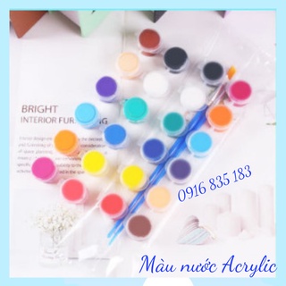 Màu nước Acrylic vỉ  6 màu 3ml (tặng kèm 1 cọ tô)