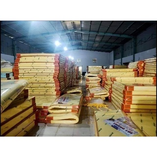 NỆM CAO SU NON THẮNG LỢI ( HÀNG CHÍNH HÃNG)