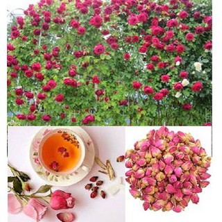 Trà hoa hồng tím 50gr