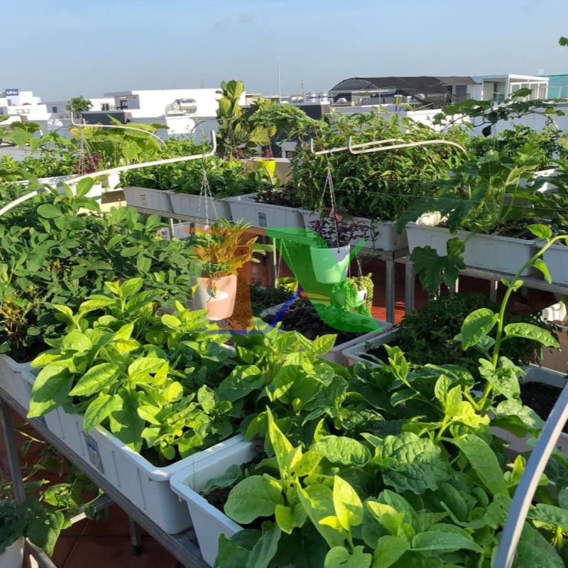 Đất Tribat dinh dưỡng 20dm3, Đất trồng cây có kèm phân bón, Trồng rau mầm, Rau, Hoa