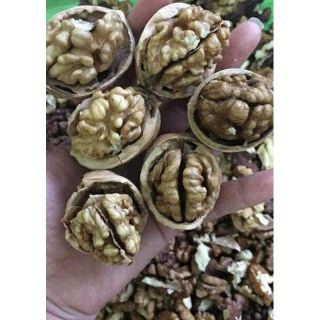 quả óc chó 1 kg tặng kìm tách vỏ