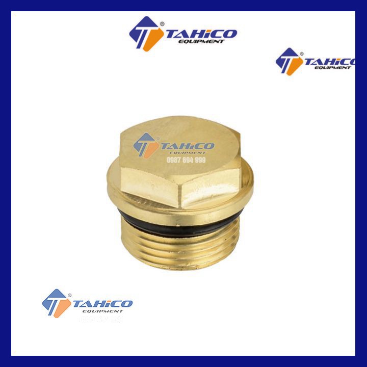 Ốc vặn đồng hồ đo áp máy rửa xe - Tahico