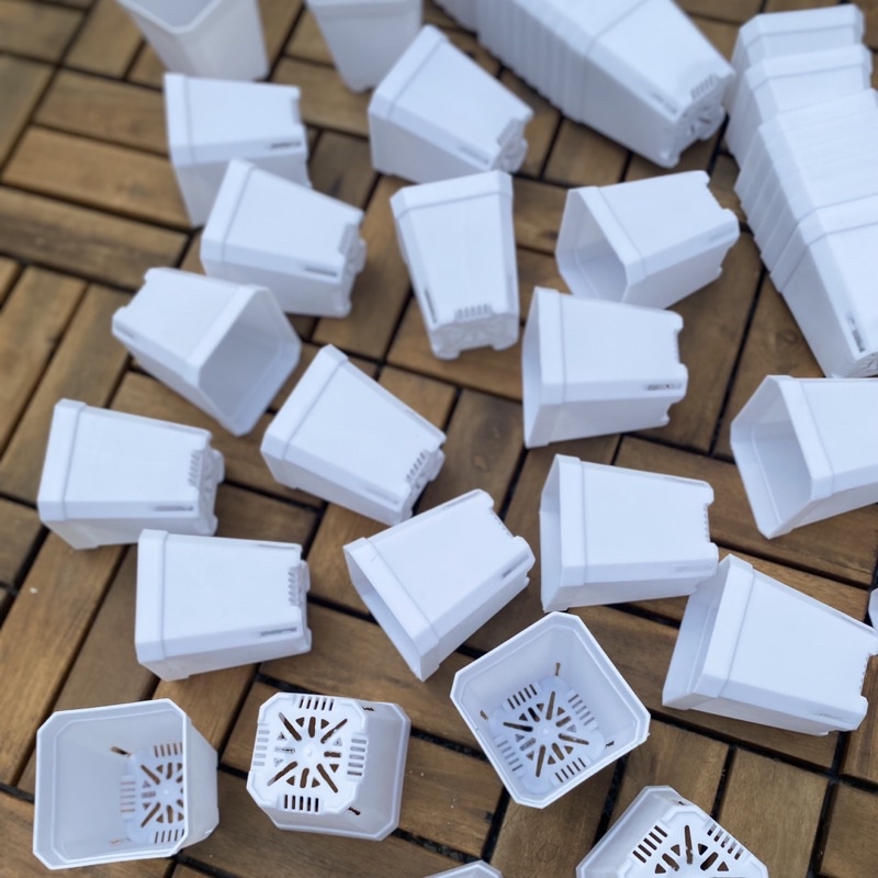 Chậu nhựa vuông 7x8cm