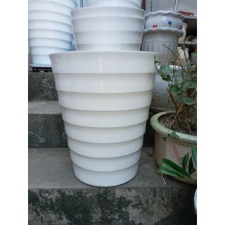 5 cái chậu đại phi 36cm x42cm mới về