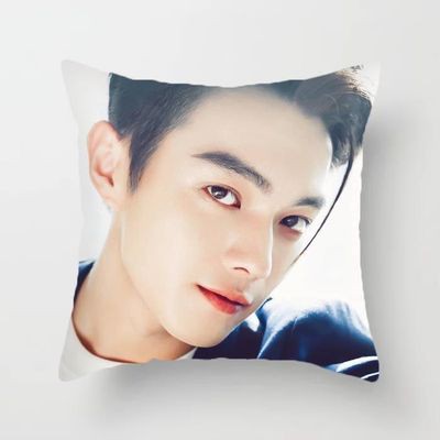 (nhiều mẫu) Gối IN HÌNH Hứa Khải gồm cả vỏ và ruột chất đẹp tiện lợi idol thần tượng cpop