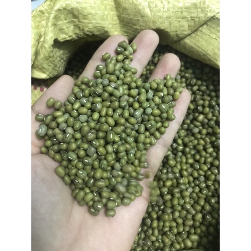 1kg đậu xanh hạt