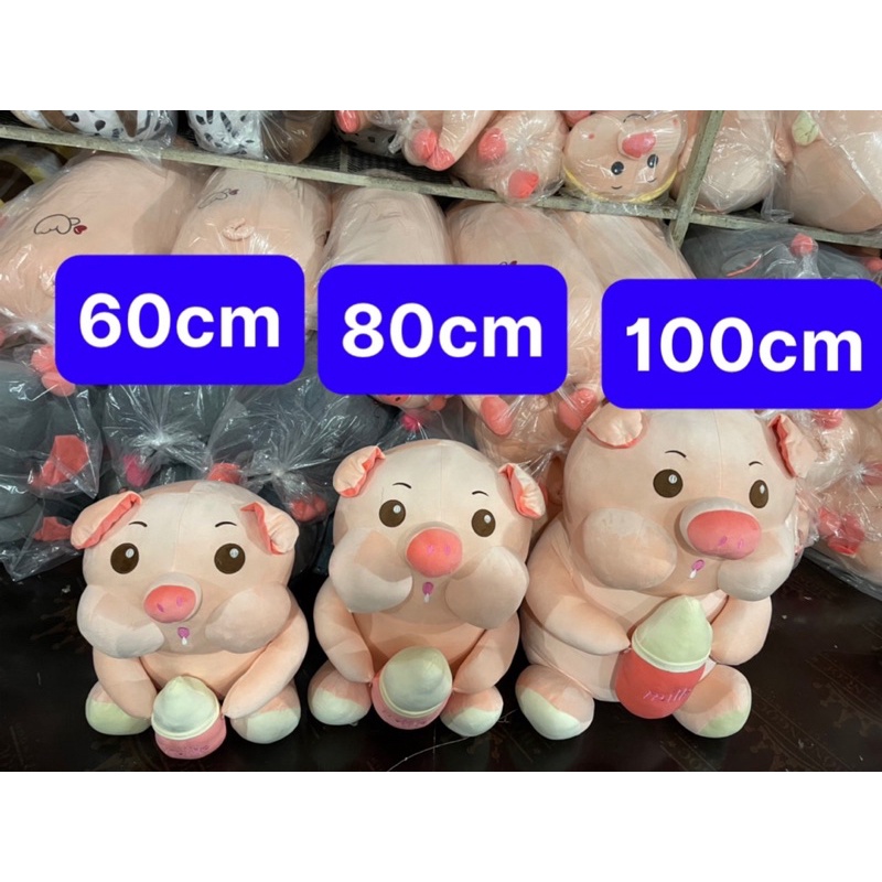 Heo xinh ôm bình sữa