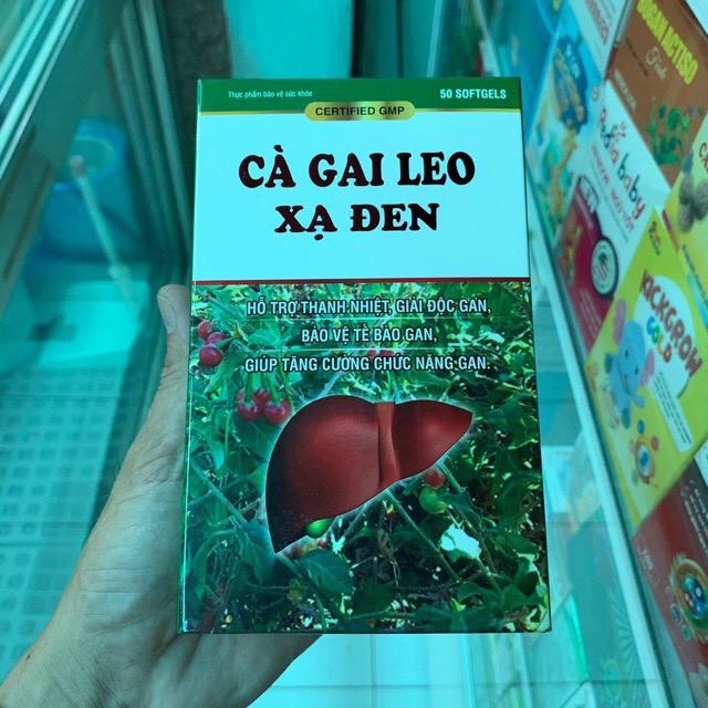 Cà gai leo xạ đen giải độc gan tăng cường chức năng gan hiệu quả (H/60v)