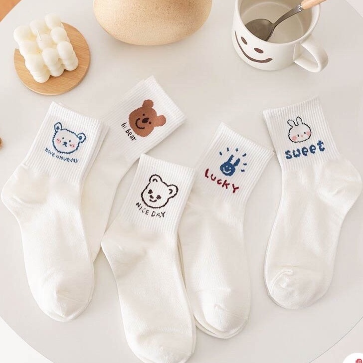 Tất nữ trắng cổ cao Hàn Quốc cute set 5 đôi chất cotton thoáng mát TEEMO T12 T48