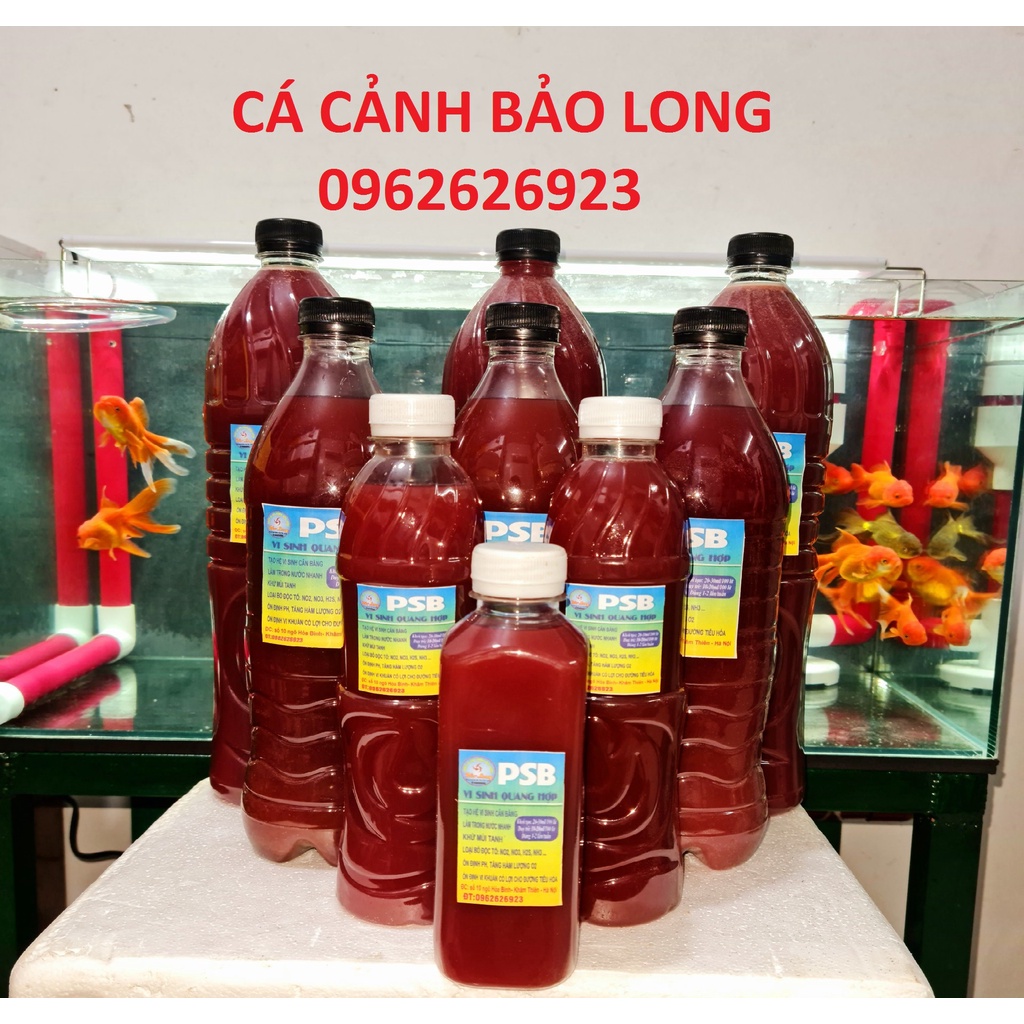 Vi Sinh Tươi PSB chai 1000ml, Vi sinh làm trong nước Hồ Koi, Bể Kính, Bể Thủy Sinh giúp nước trong, sạch, cá khoe mạnh