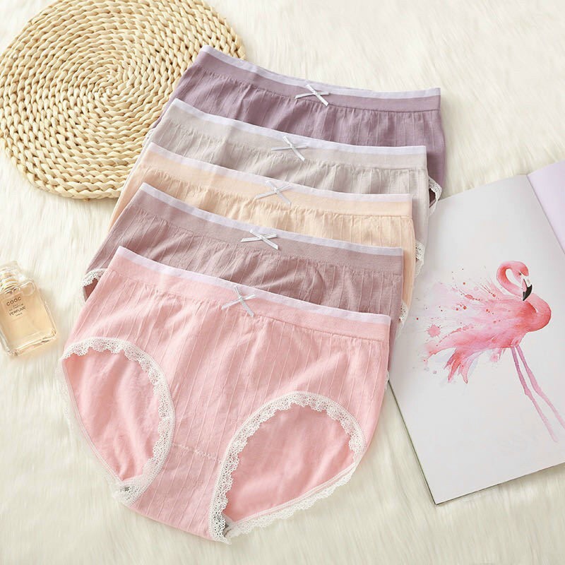 Hộp 5 Chiếc Quần Lót Thiên Nga Xuất Nhật Chất Cotton Gân Tăm Mềm Mịn Kháng Khuẩn