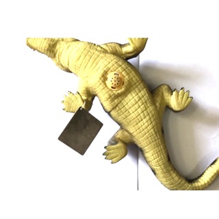 Cá sấu đại 55 cm