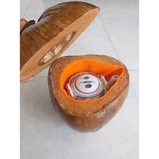 Combo quả dừa giữ nhiệt bình trà kèm bình tích 0.8 lít