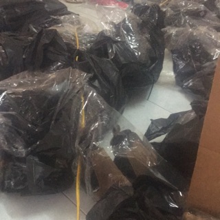 Giầy tươi vũ 500