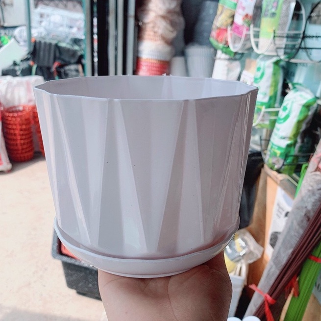 Chậu nhựa kèm đĩa rời múi khế giả chậu sứ để bàn trồng hoa cây cảnh siêu xinh