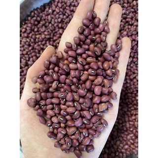 đậu đỏ mới 500gram-1kg