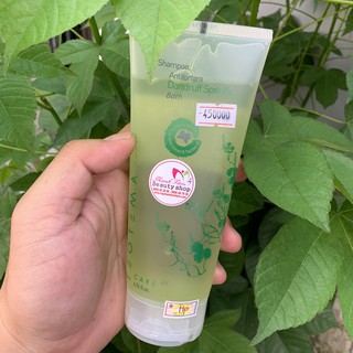 Dầu gội hạn chế gàu Teotema Dandruff Specific Bath