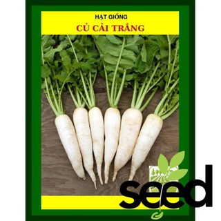 Hạt Giống Củ Cải Trắng 50 Gram