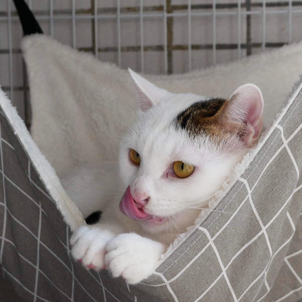 Võng Treo Hai Mặt Thoáng Khí Có Thể Gấp Gọn Cho Thú Cưng