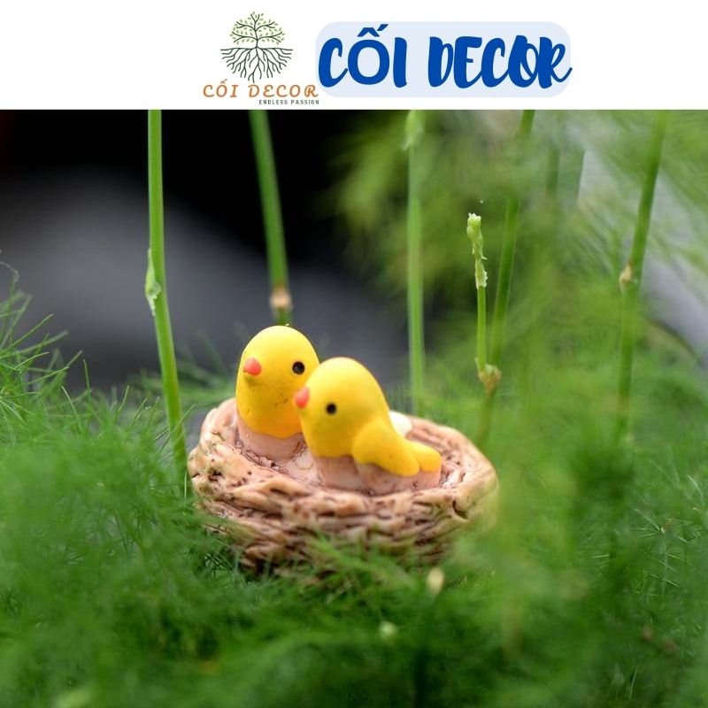 Tiểu cảnh mini ❤️H052 ❤️ Tổ chim mini trang trí tiểu cảnh, sen đá, terrarium