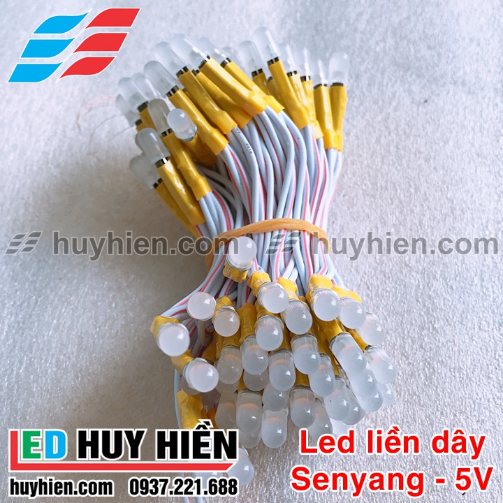 Cụm 100 bóng led liền dây JIYI (TTY) 5V các màu đơn sắc | BigBuy360 - bigbuy360.vn