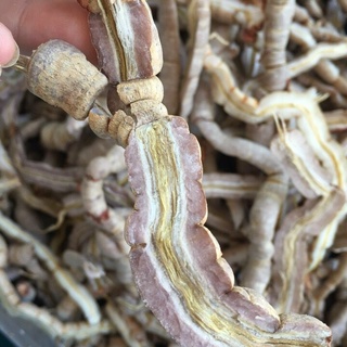 Củ ba kích đã làm sạch bỏ lõi sẵn hàng đẹp