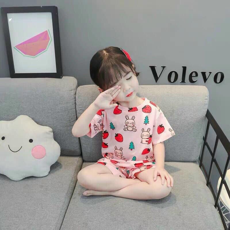 [MẪU MỚI] BỘ CỘC TAY CHẤT COTTON MỀM MÁT HỌA TIẾT THỎ DÂU SIÊU CƯNG CHO BÉ YÊU 6-18KG. XƯỞNG MAY BIBO