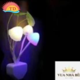 ĐÈN NGỦ HÌNH NẤM CẢM ỨNG TỰ ĐỘNG TẮT BẬT ĐỔI MÀU AVARTAR