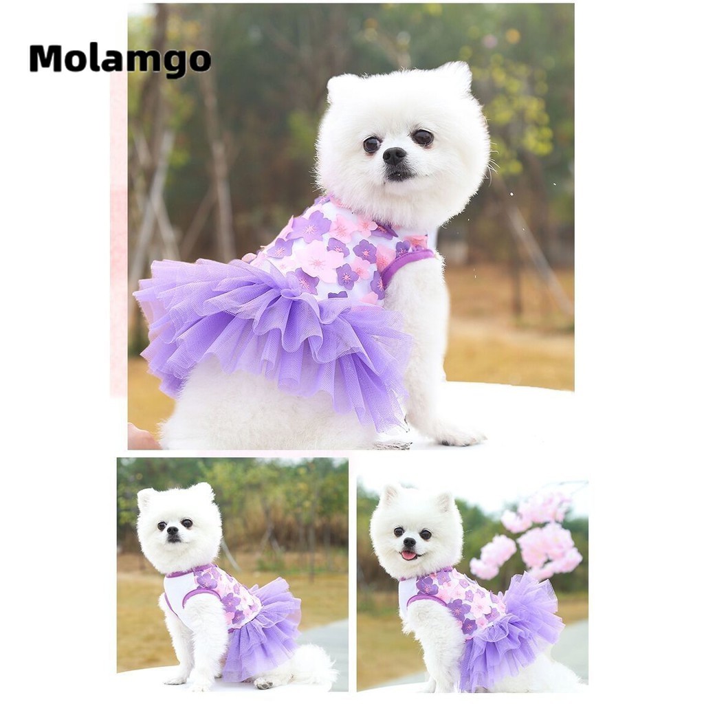 Đầm Họa Tiết Hoa Anh Đào Xinh Xắn Cho Thú Cưng