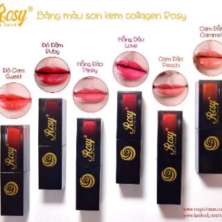 son thỏi và son kem không chì rosy ( bán hết)