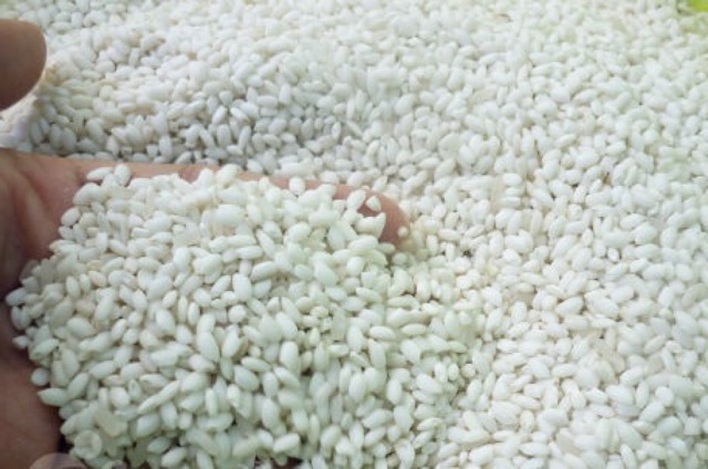 Nếp Cái Hoa Vàng PMT 1kg | BigBuy360 - bigbuy360.vn