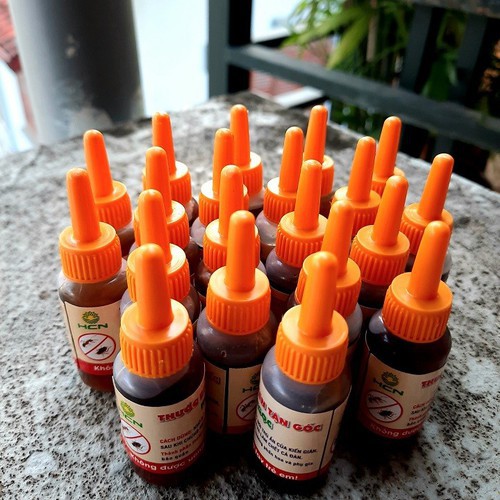 Lọ kiến gián hiệu quả tận gốc, không mùi, an toàn cho các gia đình