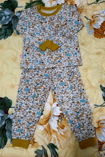 Đồ bộ tay dài cho bé gái 14-18kg