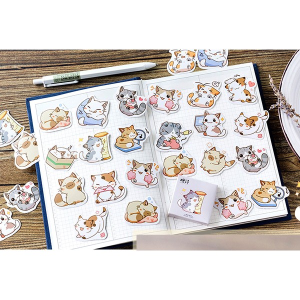 Hộp 45 miếng sticker mẫu những bé mèo con đáng yêu