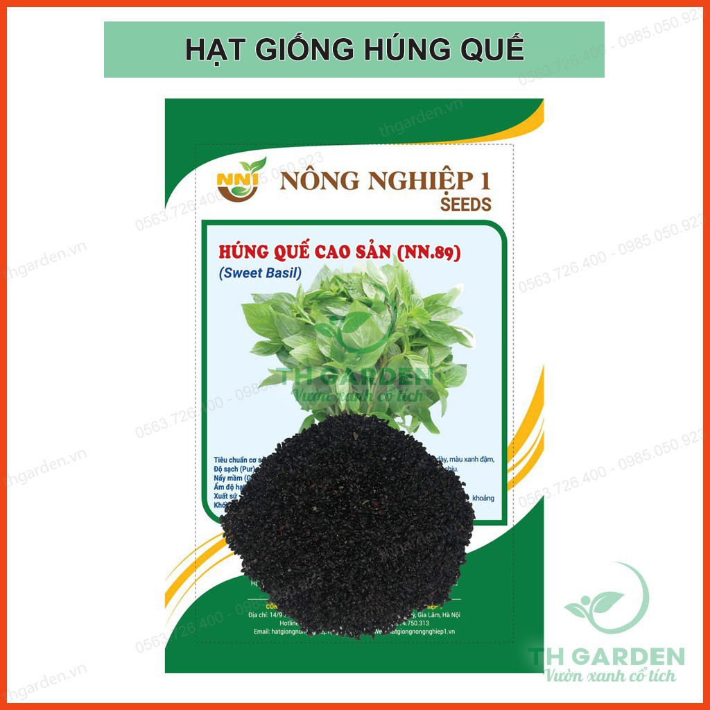 Hạt Giống Húng Quế Cao Sản 5gram - Hạt Giống Húng Chó Cao Sản HKT Farm