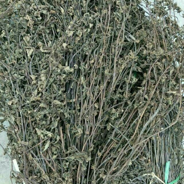 Thạch đen cao bằng( nửa kg cây khô)
