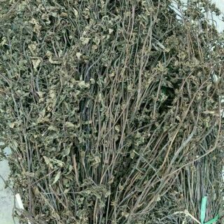 Thạch đen cao bằng( nửa kg cây khô)