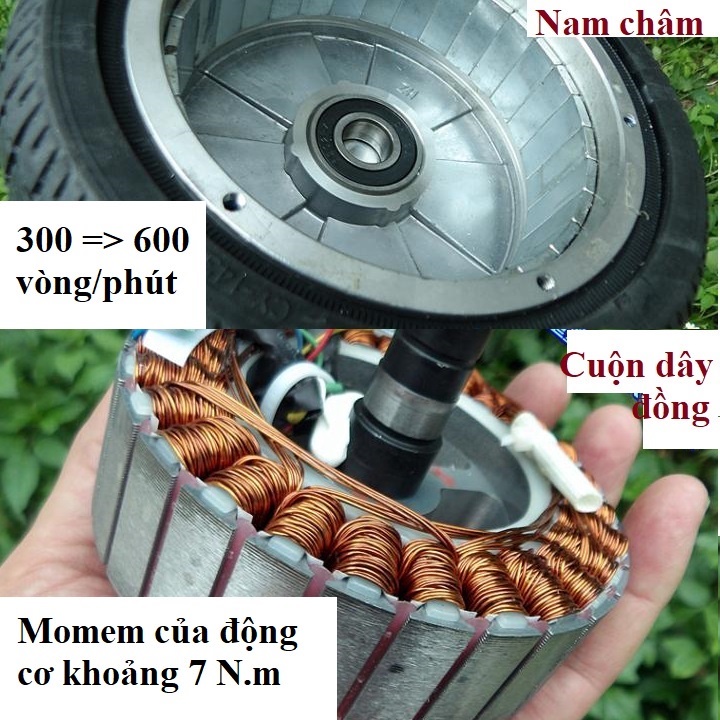 Động cơ phát điện 36v-300w, 60v-600w